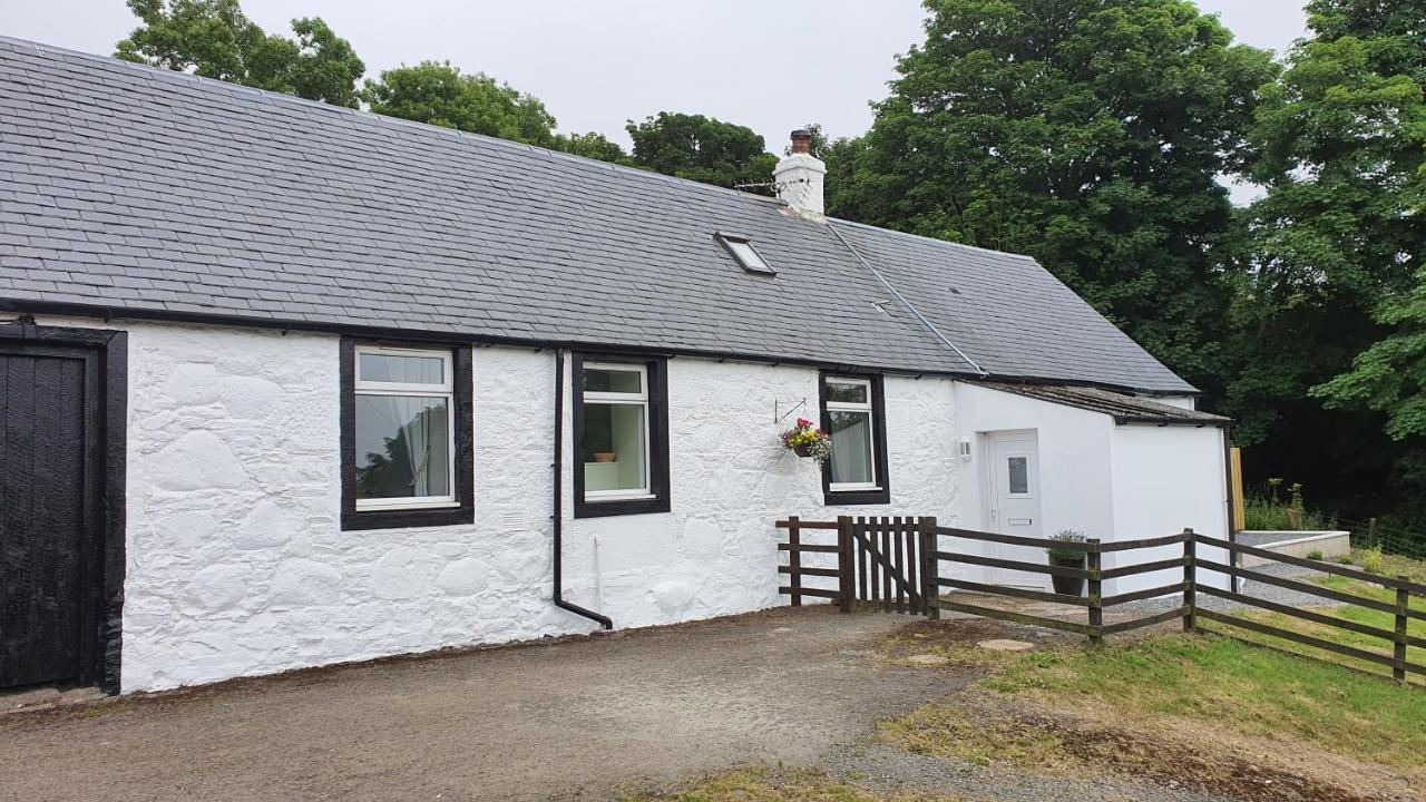 Dairy Cottage With Sea Views Girvan Exterior foto